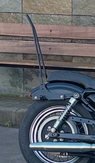Sissy bar Harley Davidson