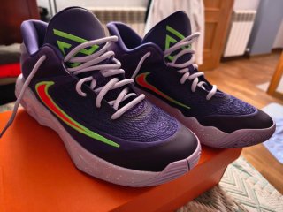 Nike Giannis Immortality 4 Talla 44