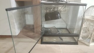 Terrario de cristal con lámparas
