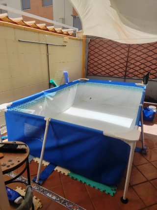 Piscina desmontable azul y blanca