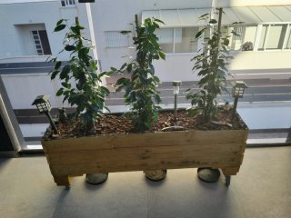 Jardinera de palets con ruedas