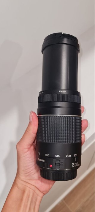 Canon EOS Rebel T7 + 3 Lentes
