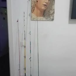 Cañas de pescar