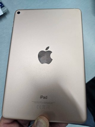 iPad mini 5 64GB Wifi+Celular Oro