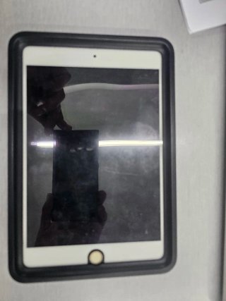 iPad mini 5 64GB Wifi+Celular Oro