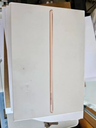 iPad mini 5 64GB Wifi+Celular Oro