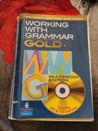 Working with Grammar Gold Including PET & FCE E...