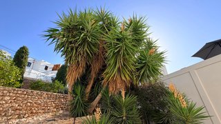 VIVIENDA EN VILLA DE NÍJAR ACOGEDORA Y ARMONIOSA