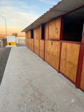 Pupilaje box o Paddock Ajalvir/Madrid