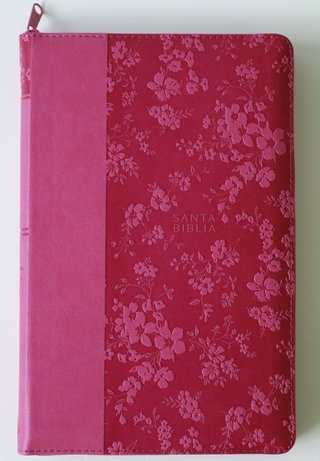 Biblia Reina Valera 1960 Letra Grande 10,5 pt Fucs
