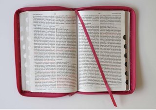 Biblia Reina Valera 1960 Letra Grande 10,5 pt Fucs