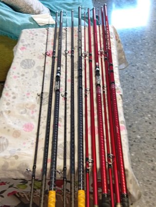 Pareja de cañas de surfcasting 4.20m