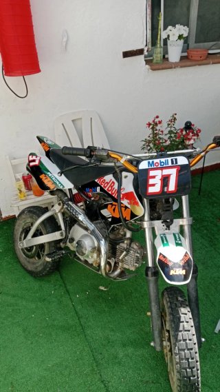 Pitbike KTM Motocross Nº 37