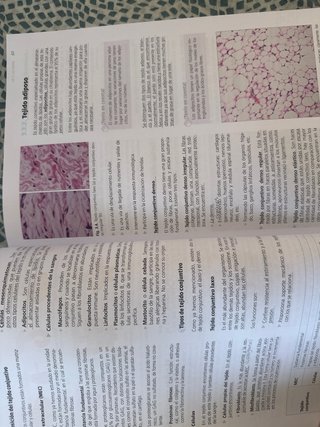 Libro Fisiopatología general