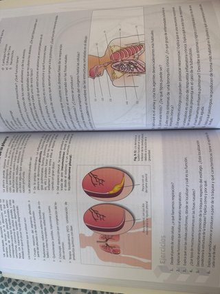 Libro Fisiopatología general