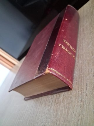 La novela romana. Satiricón, Asno de oro