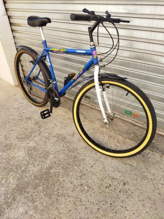 Bicicleta de Montaña Azul Shimano