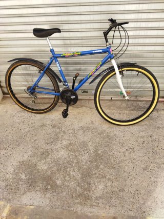Bicicleta de Montaña Azul Shimano