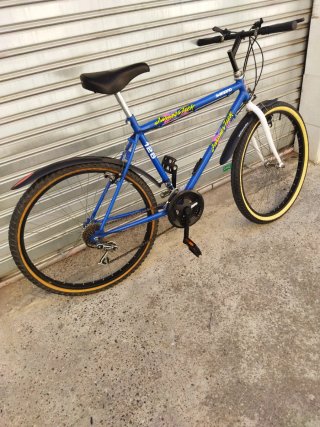 Bicicleta de Montaña Azul Shimano