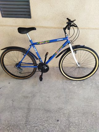 Bicicleta de Montaña Azul Shimano