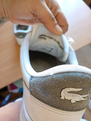 Zapatillas Lacoste Hombre Blancas y Grises