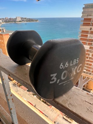Pareja Mancuernas 3 kg Decathlon