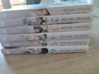 Pack BL - Dejame odiarte - Tomos del 1 al 6