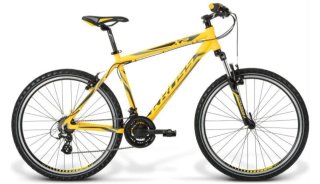 Vicicleta cross