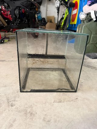 Terrario de cristal negro y transparente