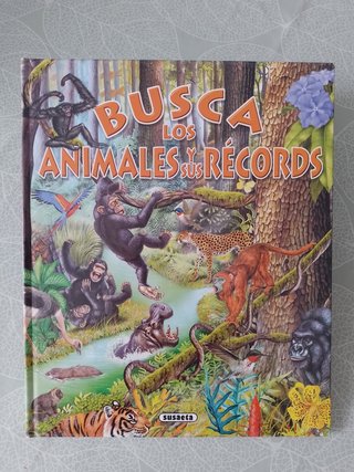 Lote 6 Libros Infantiles Busca los Animales