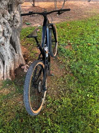 Bicicleta Eléctrica Cannondale Moterra Neo Carbon