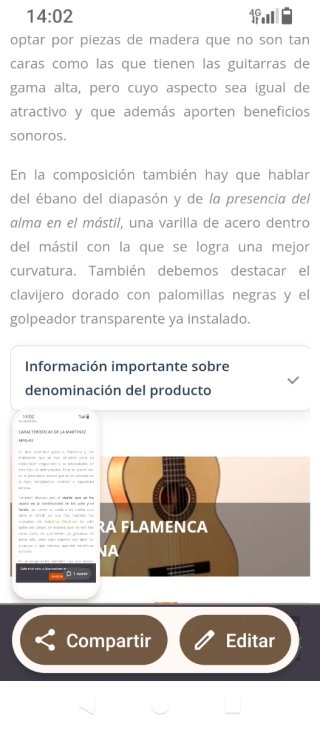 Guitarra Martínez MFG-AS