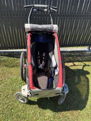 Thule Chariot Carrito 2 Ruedas