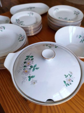Vajilla vintage Royal China Vigo – 39 piezas