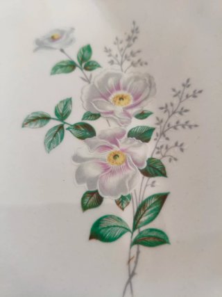 Vajilla vintage Royal China Vigo – 39 piezas