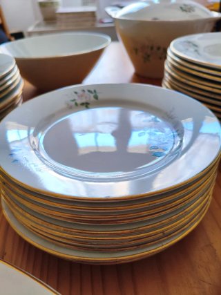Vajilla vintage Royal China Vigo – 39 piezas