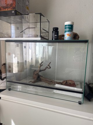 Terrario de cristal