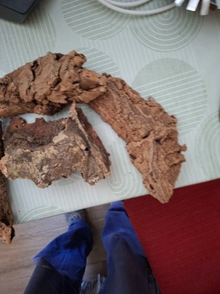 Troncos y piedra para terrario
