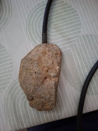 Troncos y piedra para terrario