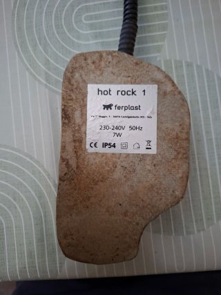 Troncos y piedra para terrario
