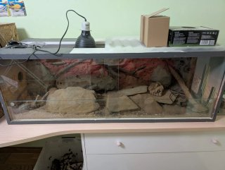 Terrario