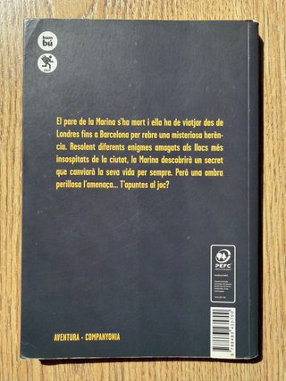 Libro Ànima Negra de Elisenda Roca