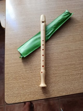 Flauta dulce Hohner con funda