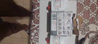 2 cartuchos antical Rowenta Tefal Calor