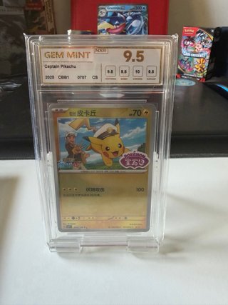 Cartas Pokémon Gradeadas NXR