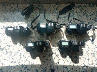 Lote 4 Cámaras Réflex Canon EOs
