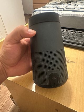 Altavoz Bose Revolt Negro