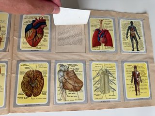 Álbum de cromos Vida y Color, 1965, completo.