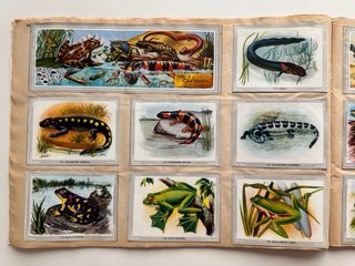 Álbum de cromos Vida y Color, 1965, completo.