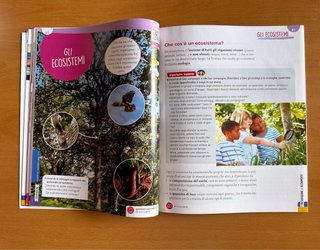 Sussidiario Scienze e Tecnologia 4 - Sorridoimparo